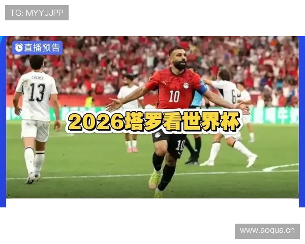 埃及对伊朗战报:VAR改判影响最终出线格局 埃及对伊朗战报:VAR改判影响最终出线格局